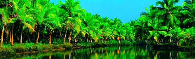 Отель Chaandhni Lake View Alappuzha Экстерьер фото